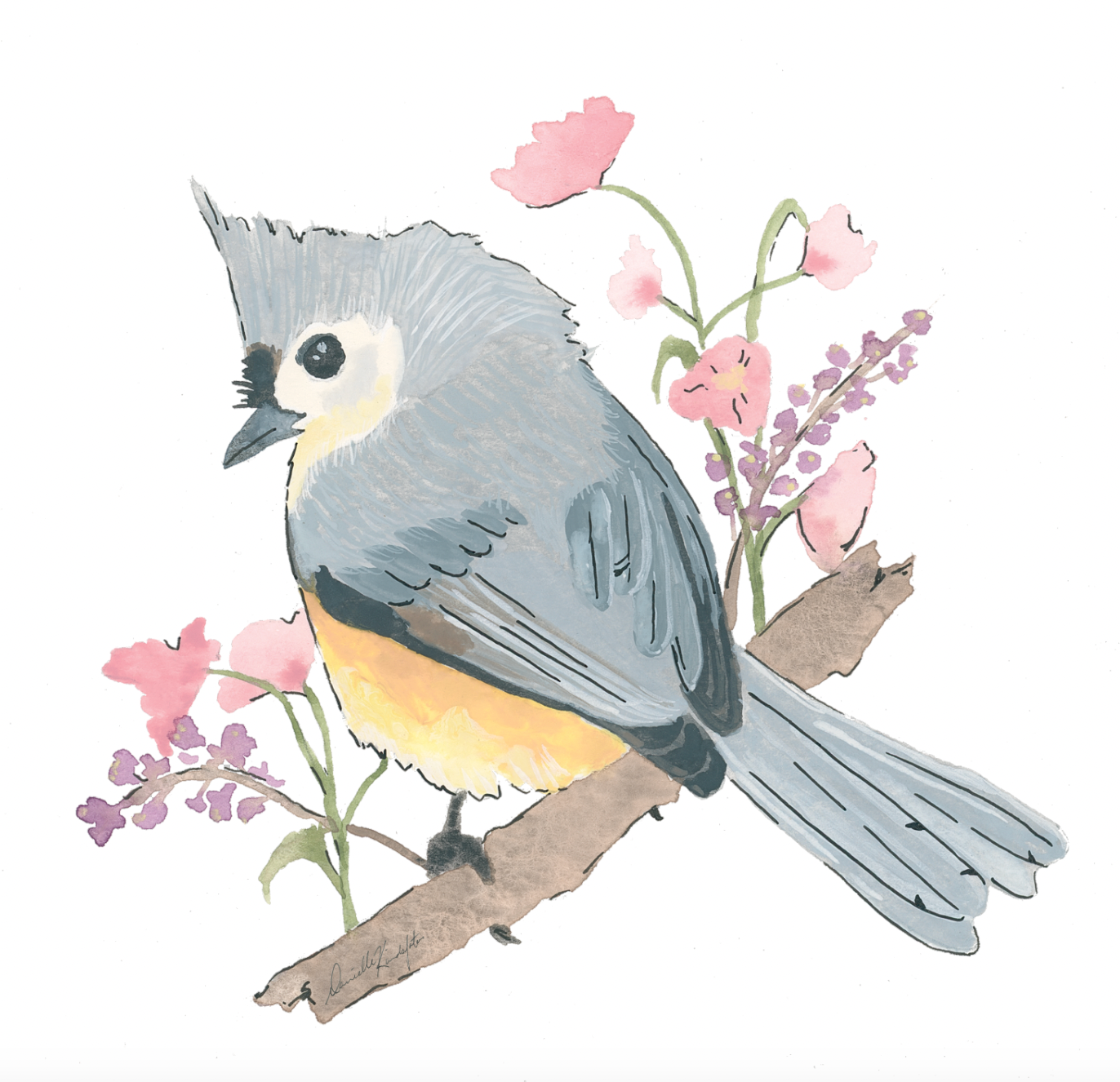 Tufted Titmouse-Canvas